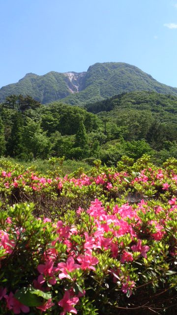 塚原高原