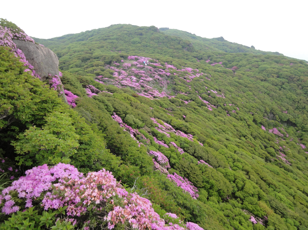 大船山