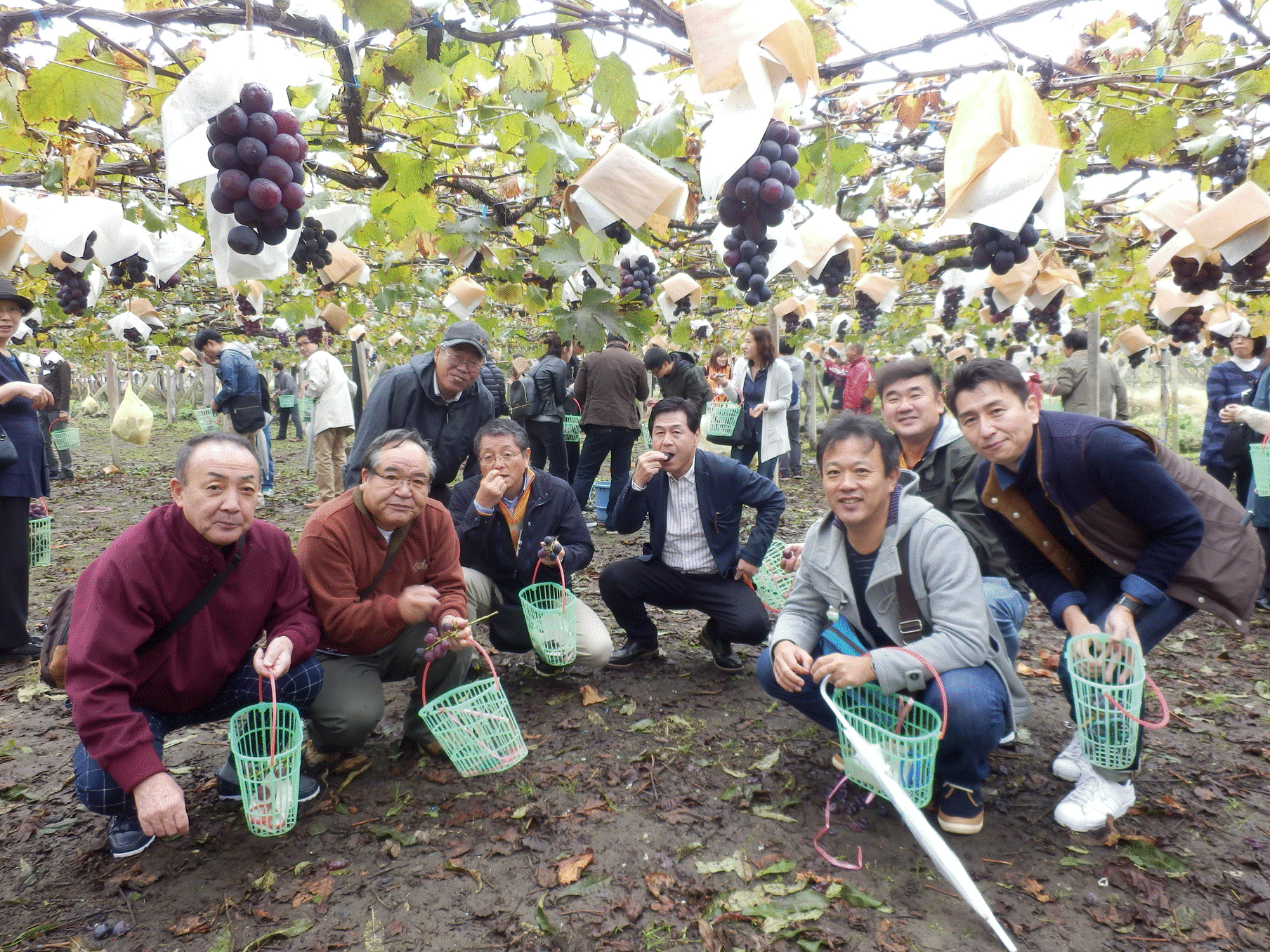 社員慰労会4